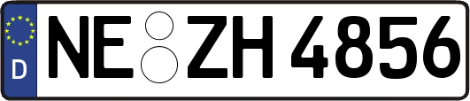 NE-ZH4856