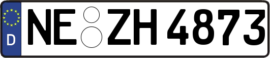 NE-ZH4873
