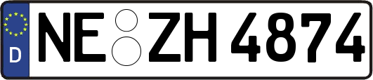 NE-ZH4874