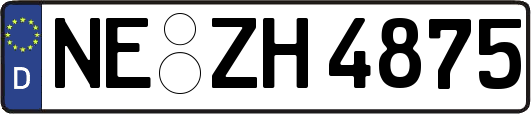 NE-ZH4875