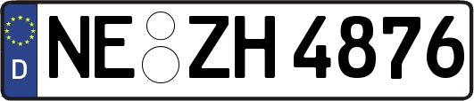 NE-ZH4876