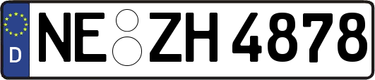 NE-ZH4878