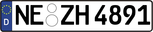 NE-ZH4891