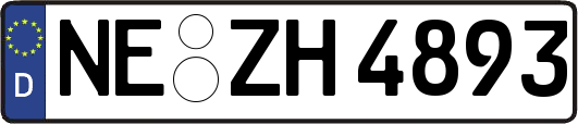 NE-ZH4893