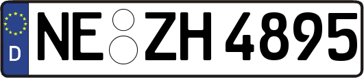 NE-ZH4895