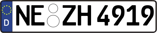 NE-ZH4919