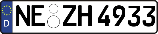 NE-ZH4933
