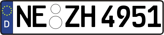 NE-ZH4951