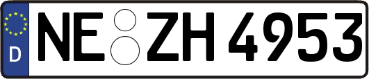 NE-ZH4953