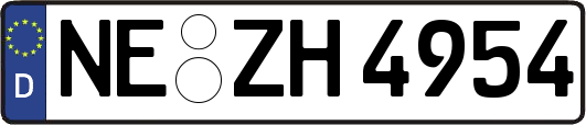NE-ZH4954