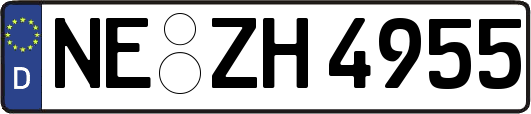 NE-ZH4955