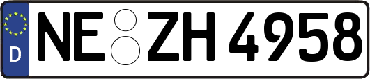 NE-ZH4958