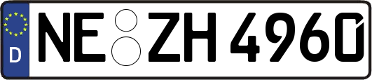 NE-ZH4960