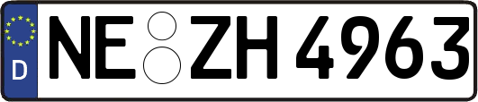 NE-ZH4963