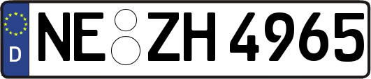 NE-ZH4965