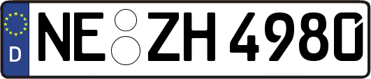 NE-ZH4980