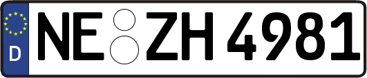 NE-ZH4981