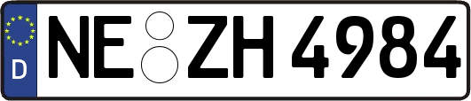 NE-ZH4984