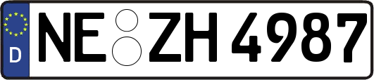NE-ZH4987