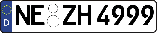 NE-ZH4999