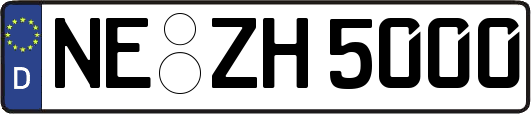 NE-ZH5000