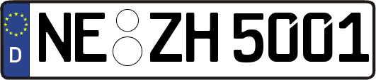 NE-ZH5001