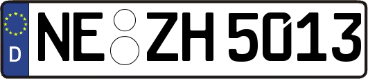 NE-ZH5013