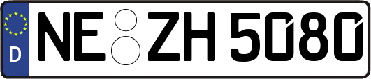 NE-ZH5080