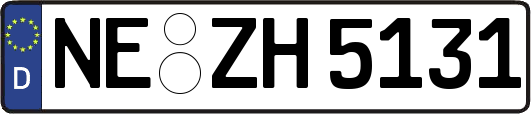 NE-ZH5131
