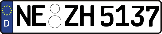 NE-ZH5137