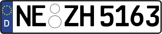 NE-ZH5163