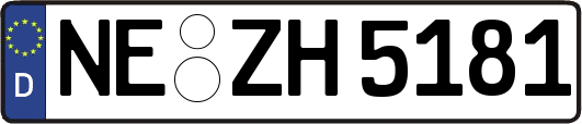 NE-ZH5181