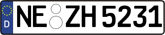 NE-ZH5231