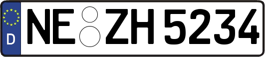 NE-ZH5234