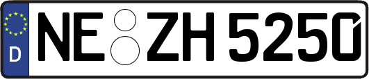 NE-ZH5250