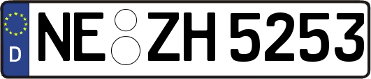 NE-ZH5253