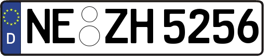 NE-ZH5256