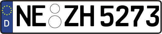 NE-ZH5273
