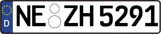 NE-ZH5291