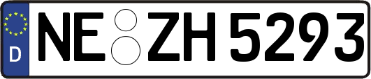 NE-ZH5293