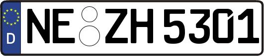 NE-ZH5301