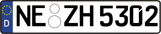 NE-ZH5302