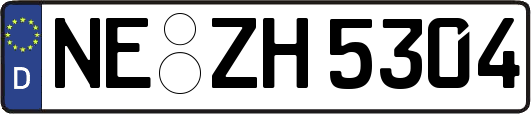 NE-ZH5304