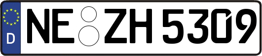 NE-ZH5309