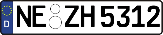 NE-ZH5312