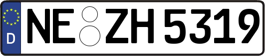 NE-ZH5319