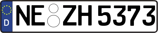 NE-ZH5373