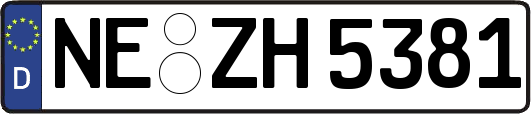 NE-ZH5381