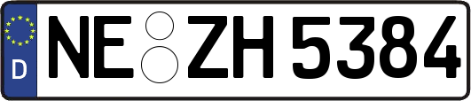NE-ZH5384
