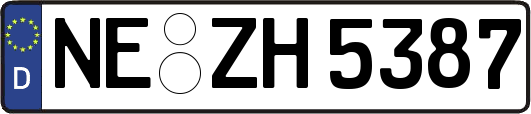 NE-ZH5387